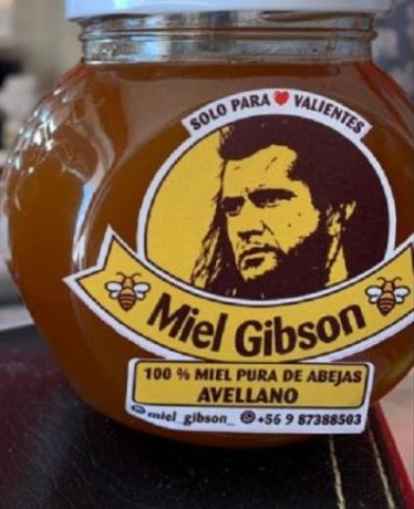 Miel Gibson. ¿Es Posible registrar una marca asi?