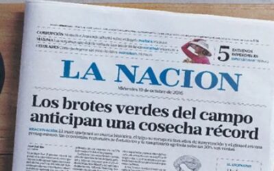Tu Marca se confunde con el Estado ¿Es buena idea?